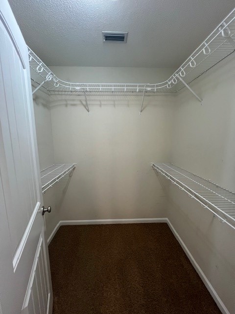 3664 Druid Oaks Dr, Valdosta, GA 31602 - spacious closet featuring carpet flooring and visible vents