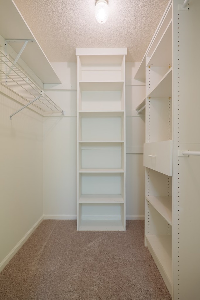 spacious closet with carpet floors