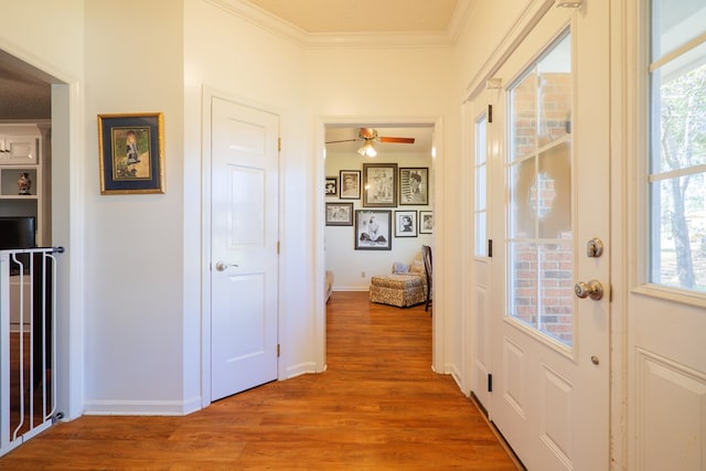 hallway with crown molding, wood-type flooring, and a textured ceiling