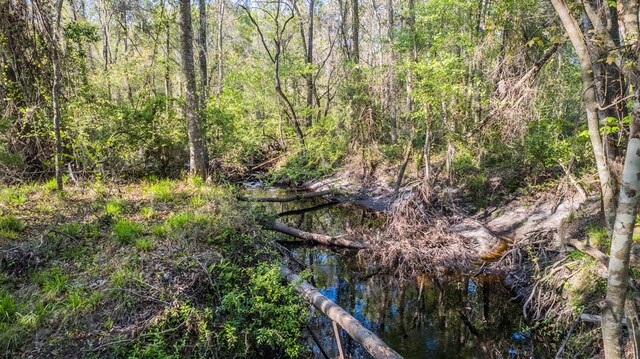 261 River Rd, Lakeland, GA 31635 - photo 35