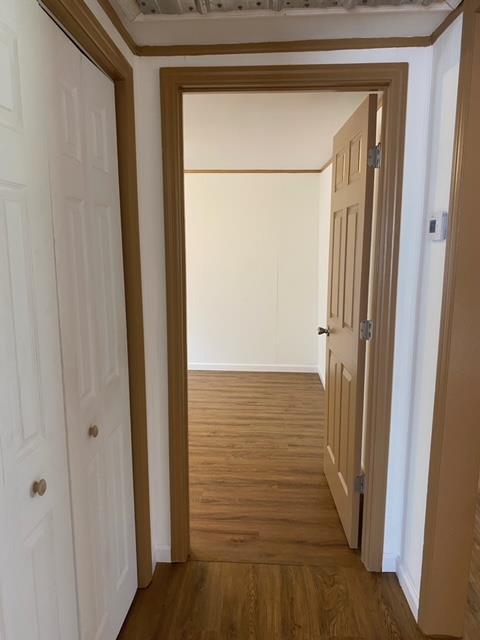 261 River Rd, Lakeland, GA 31635 - photo 24