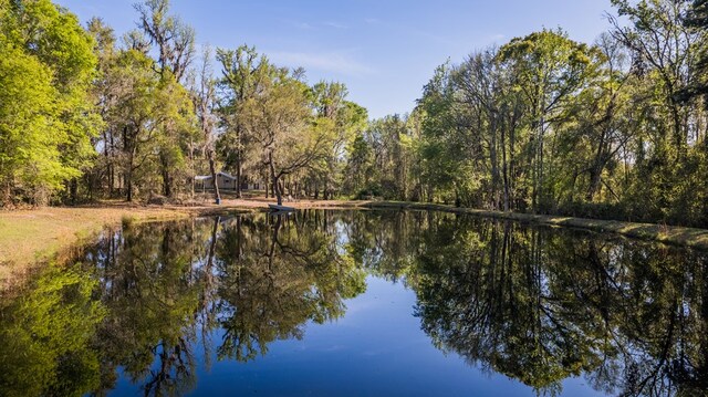 261 River Rd, Lakeland, GA 31635 - photo 8