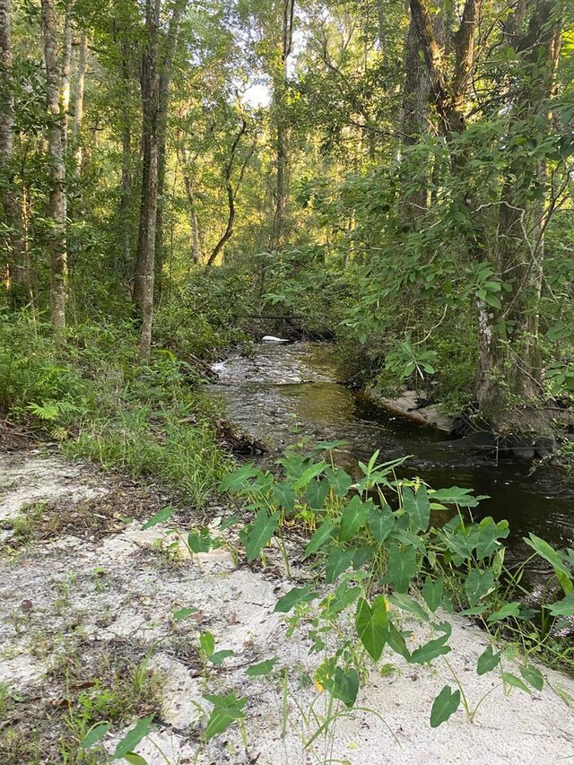 261 River Rd, Lakeland, GA 31635 - photo 9