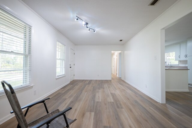 empty room with crown molding, sink, and light wood-type flooring