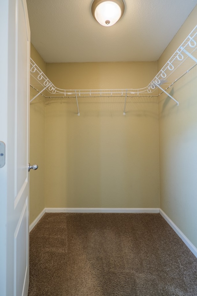 5702 Emily Ln, Hahira, GA 31632 - spacious closet with carpet floors