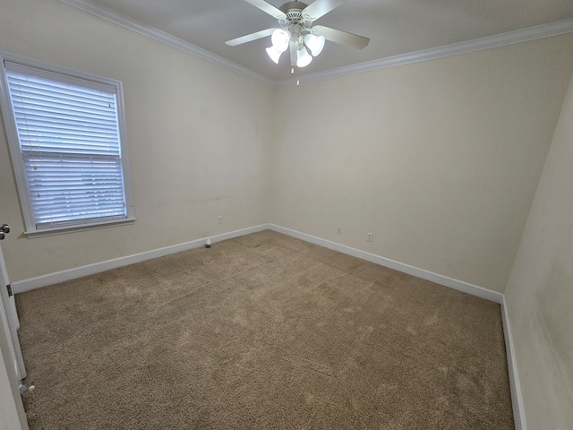 unfurnished room with crown molding, ceiling fan, and carpet