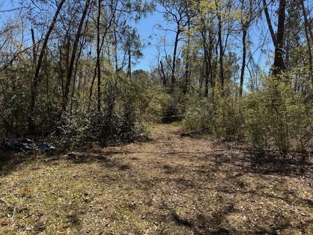 3362 Hart Rd, Valdosta, GA 31601 - photo 40