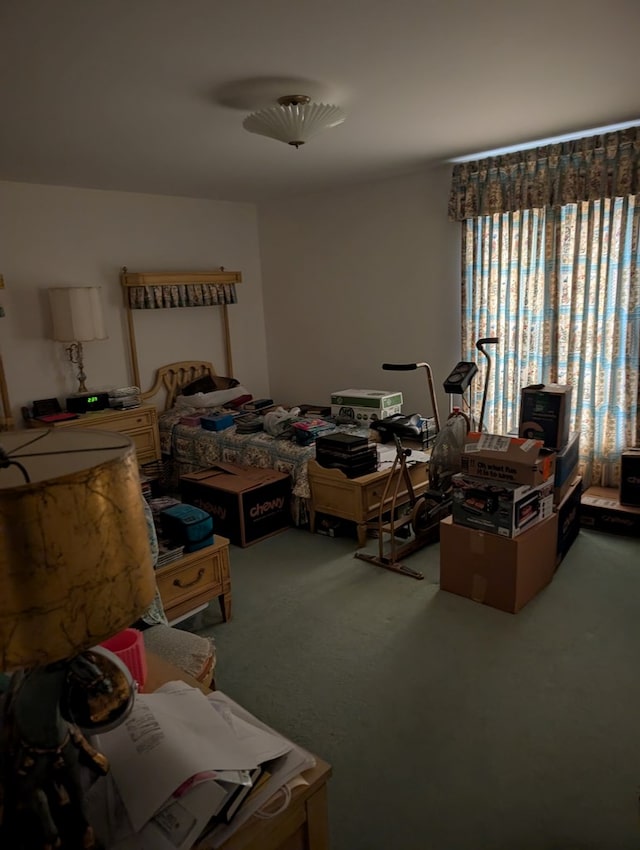 bedroom with carpet flooring