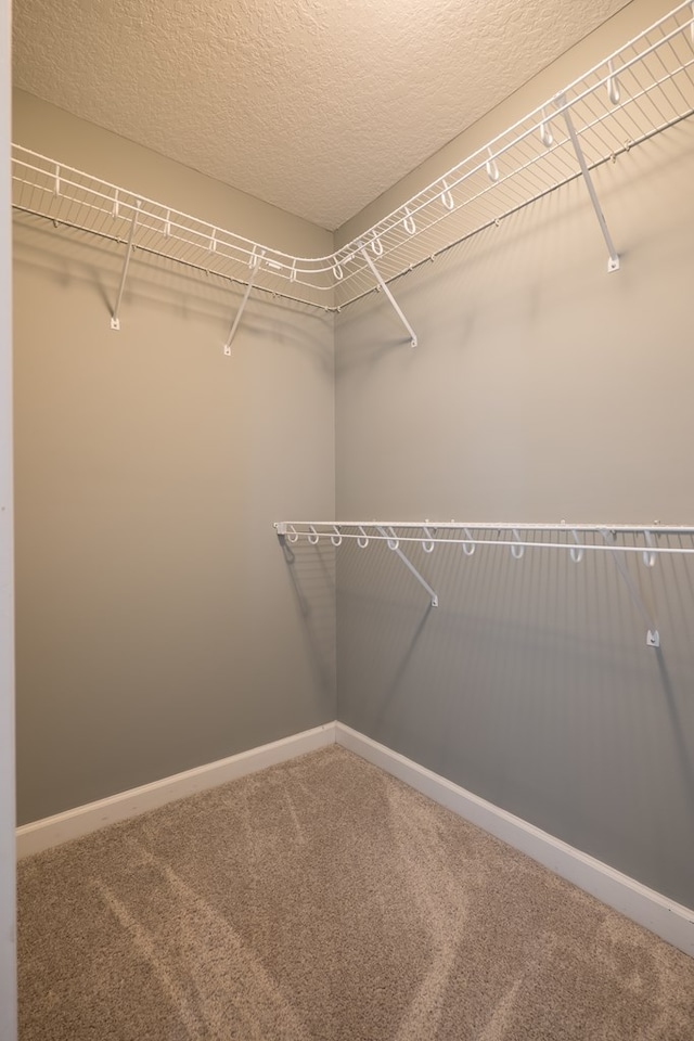 spacious closet with carpet flooring