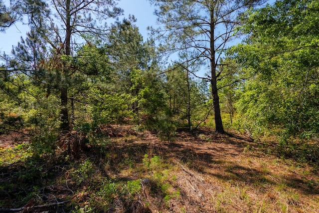 view of nature featuring a wooded view