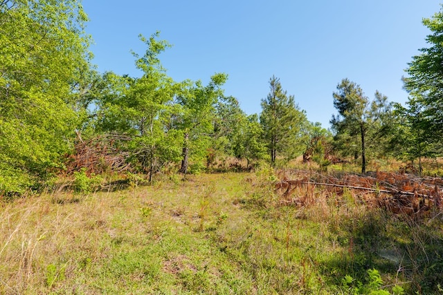 view of landscape