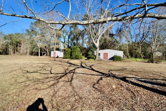 view of yard with a storage unit