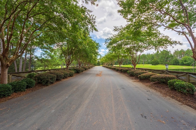 4059 Live Oaks Cir, Valdosta, GA 31601 - view of asphalt road