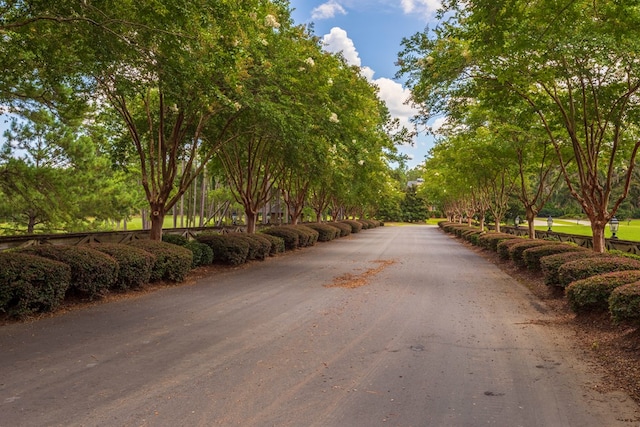 4059 Live Oaks Cir, Valdosta, GA 31601 - view of asphalt street