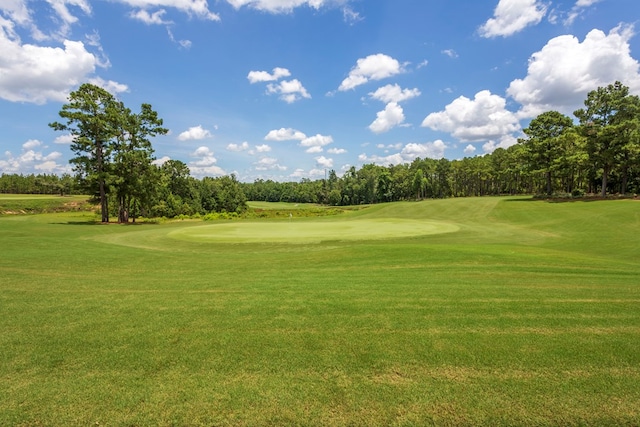 4059 Live Oaks Cir, Valdosta, GA 31601 - surrounding community with golf course view, view of wooded area, and a yard