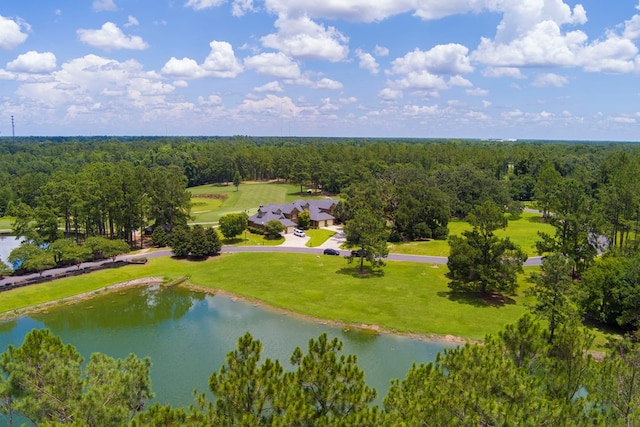 4059 Live Oaks Cir, Valdosta, GA 31601 - bird's eye view of a heavily wooded area and a nearby body of water