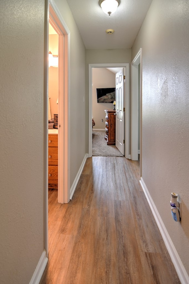 4121 Amberley Trl, Valdosta, GA 31602 - hallway with wood finished floors and baseboards