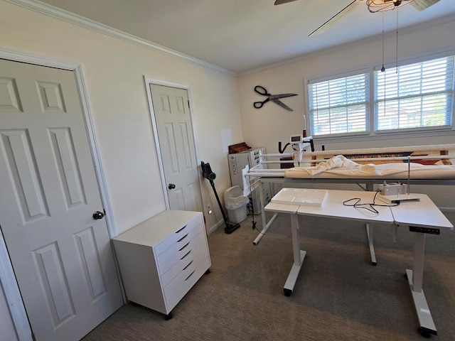 home office featuring ceiling fan, dark colored carpet, and crown molding