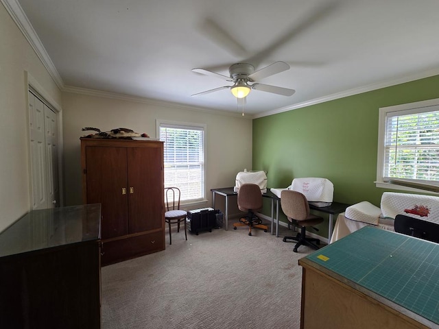 carpeted home office featuring ceiling fan, ornamental molding, and a wealth of natural light