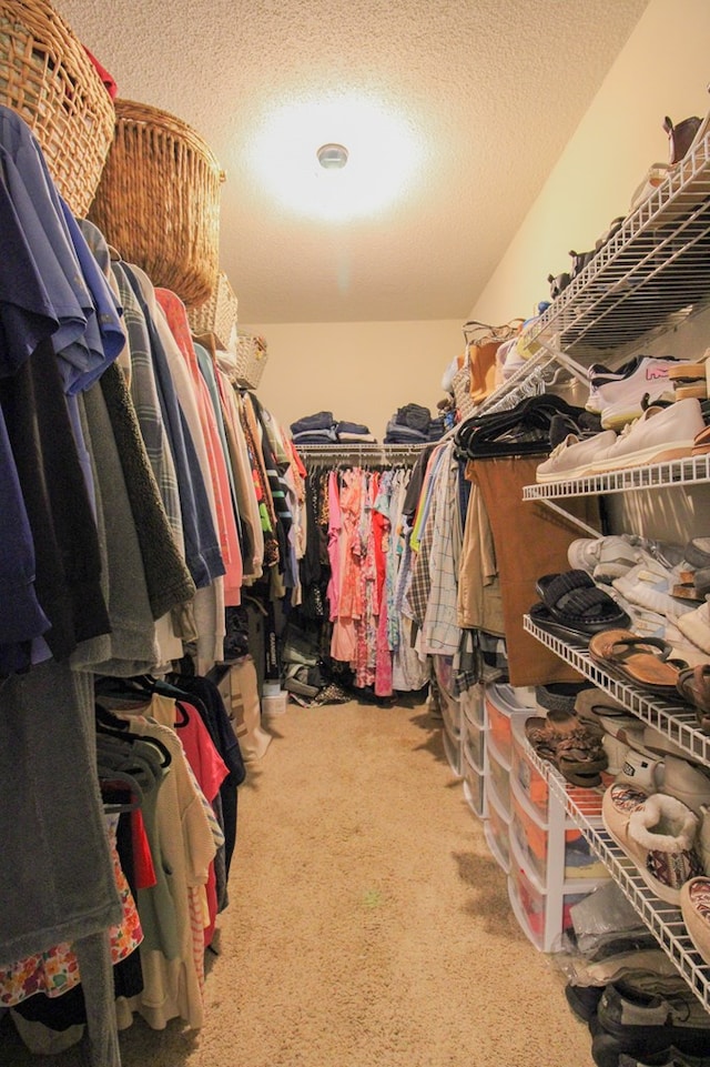 5300 Hidden Oaks Blvd, Lake Park, GA 31636 - walk in closet with carpet floors
