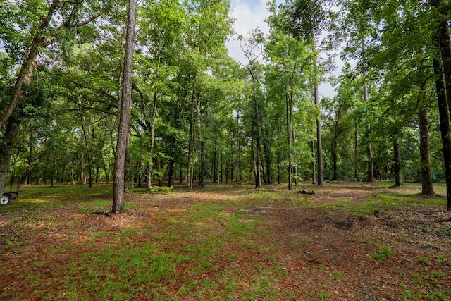 3564 River Chase Dr, Valdosta, GA 31602 - view of tree filled area