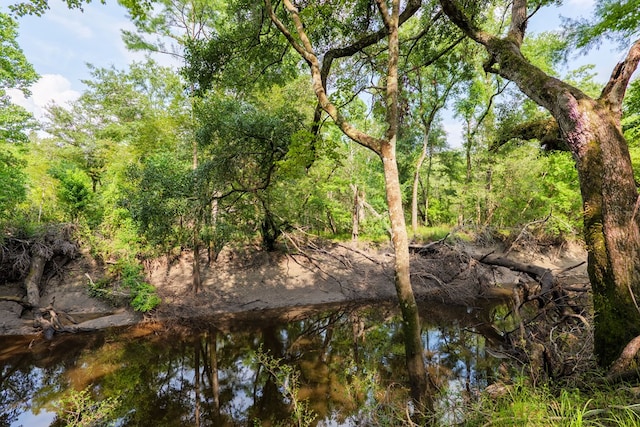 3564 River Chase Dr, Valdosta, GA 31602 - water view