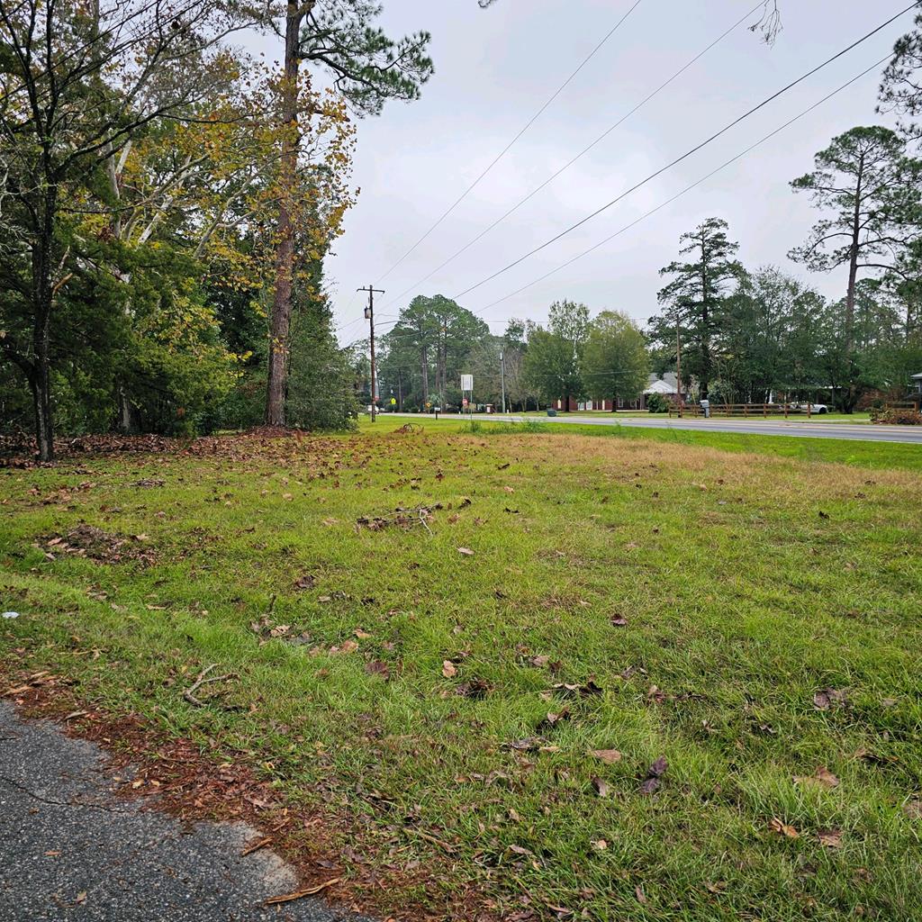 907 Adel Rd, Nashville, GA 31639 - photo 1