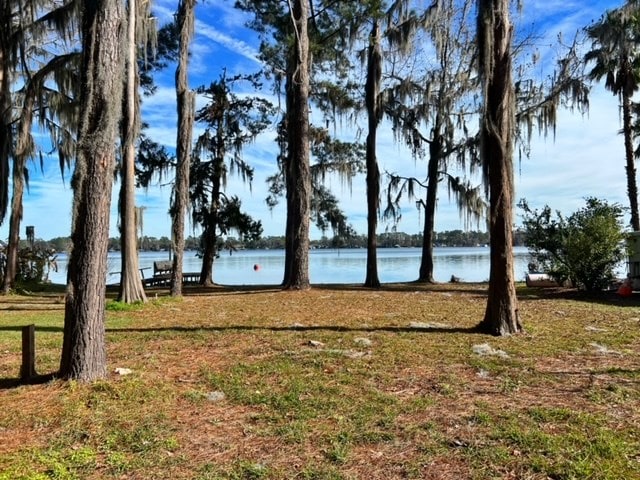 view of yard with a water view