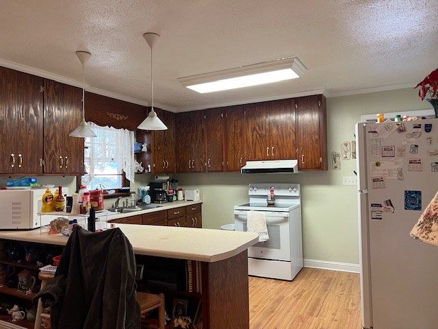 kitchen with sink, hanging light fixtures, crown molding, white appliances, and light wood-type flooring