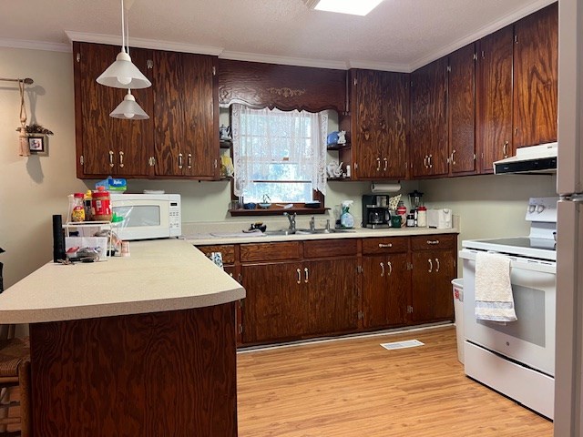 kitchen featuring pendant lighting, white appliances, sink, light wood-type flooring, and range hood