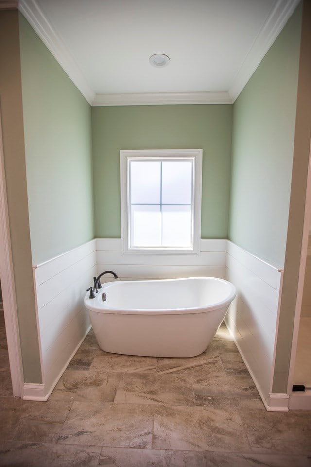 full bath featuring a wainscoted wall, ornamental molding, and a freestanding tub