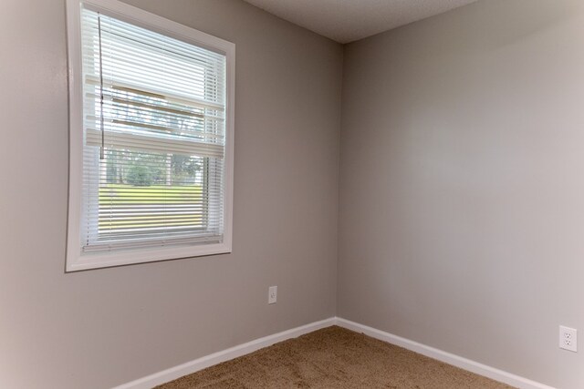 4604 Pinebrook Dr, Lake Park, GA 31636 - unfurnished room with carpet floors and plenty of natural light