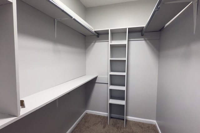 4604 Pinebrook Dr, Lake Park, GA 31636 - spacious closet with carpet flooring