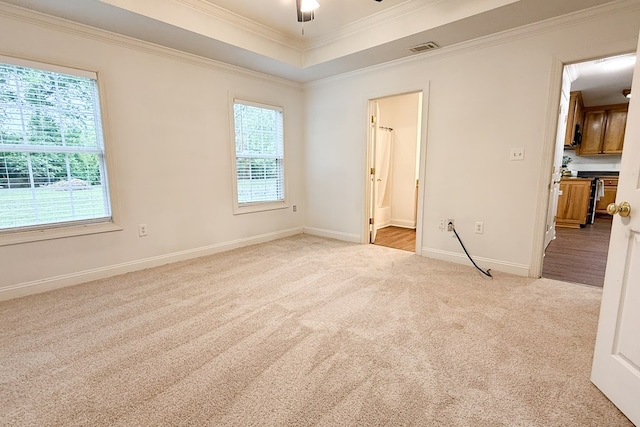 17 Ard Rd, Ray City, GA 31645 - spare room with ornamental molding, light colored carpet, ceiling fan, a tray ceiling, and baseboards