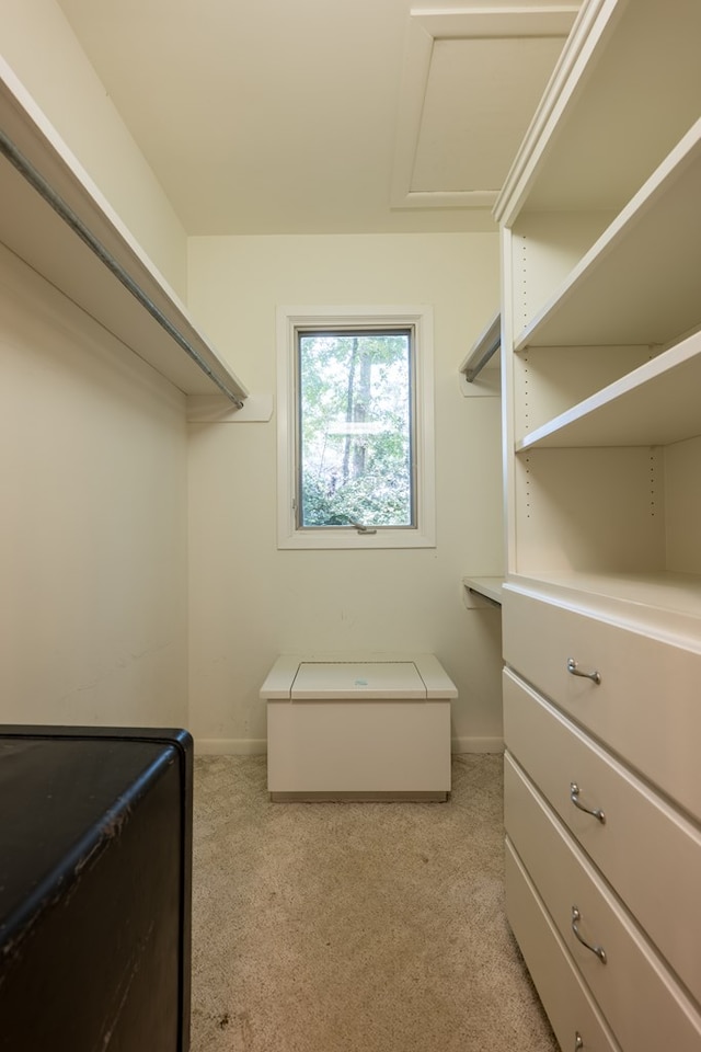 walk in closet featuring light colored carpet