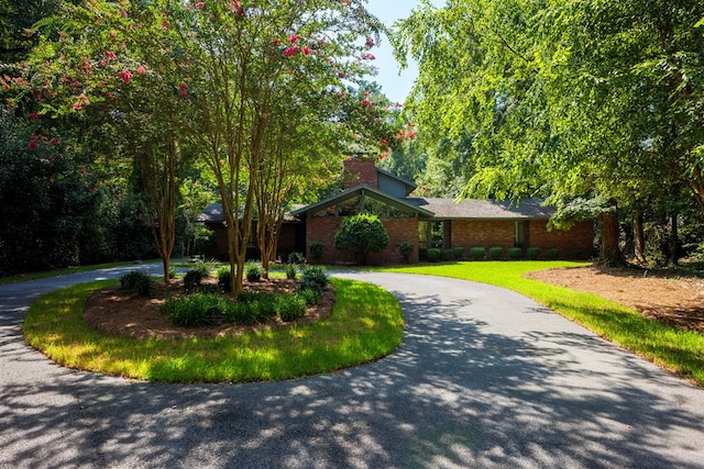 view of home's community featuring a yard