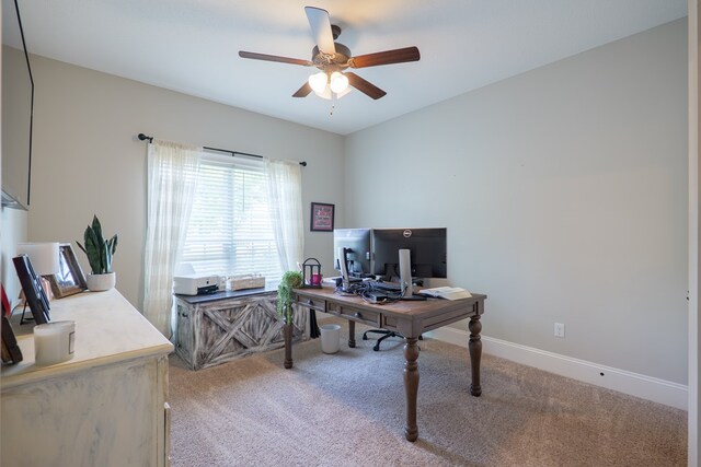 3527 Desirable Dr, Valdosta, GA 31601 - photo 28