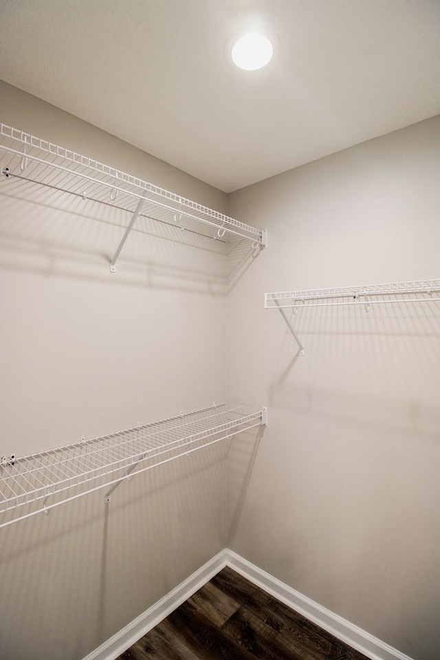 593 Jamar Trl, Quitman, GA 31643 - spacious closet featuring dark wood-style floors
