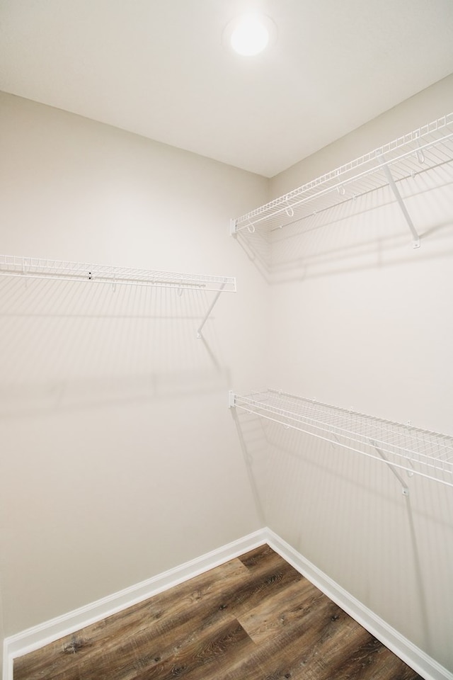 593 Jamar Trl, Quitman, GA 31643 - walk in closet with dark wood-style floors