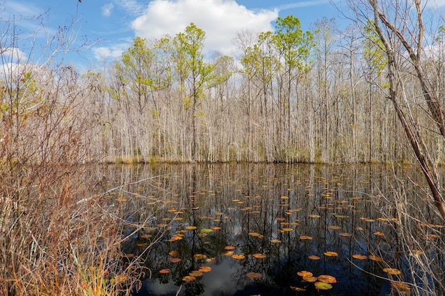 view of nature