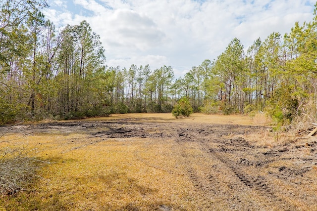 view of local wilderness