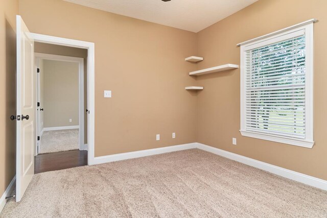 5527 School House Pond Rd, Lake Park, GA 31636 - unfurnished room with carpet flooring, healthy amount of natural light, and baseboards