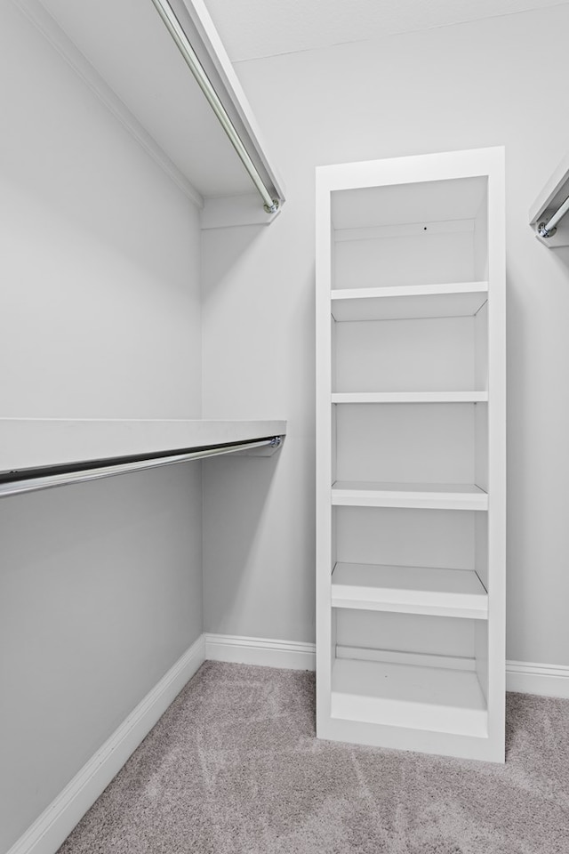 spacious closet featuring carpet flooring