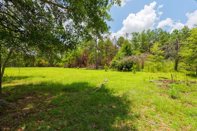 7552 Webb Rd, Hahira, GA 31632 - view of yard featuring a wooded view