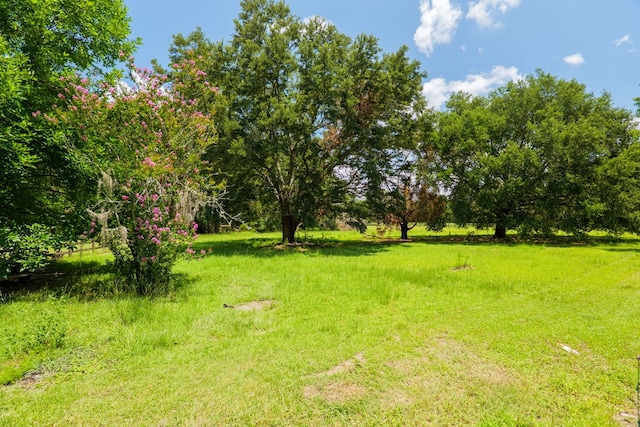 7552 Webb Rd, Hahira, GA 31632 - view of green lawn