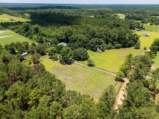 7552 Webb Rd, Hahira, GA 31632 - overview of rural landscape with a forest