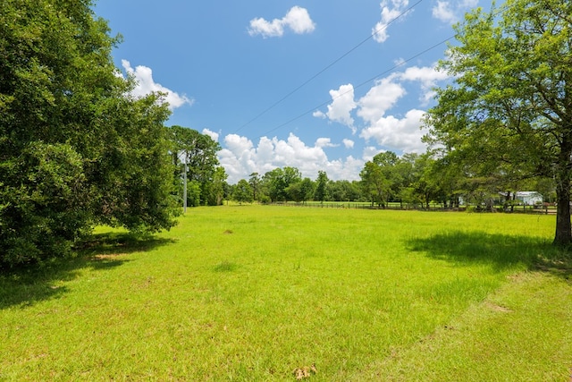 7552 Webb Rd, Hahira, GA 31632 - view of green lawn