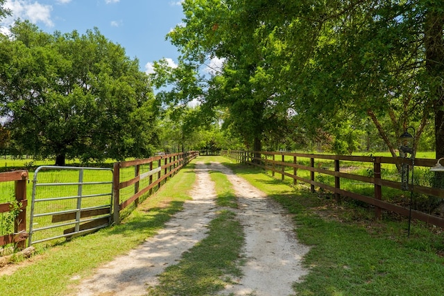 7552 Webb Rd, Hahira, GA 31632 - view of dirt / gravel road