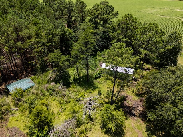7552 Webb Rd, Hahira, GA 31632 - overview of rural landscape