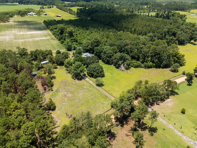 7552 Webb Rd, Hahira, GA 31632 - overview of rural landscape with farmland